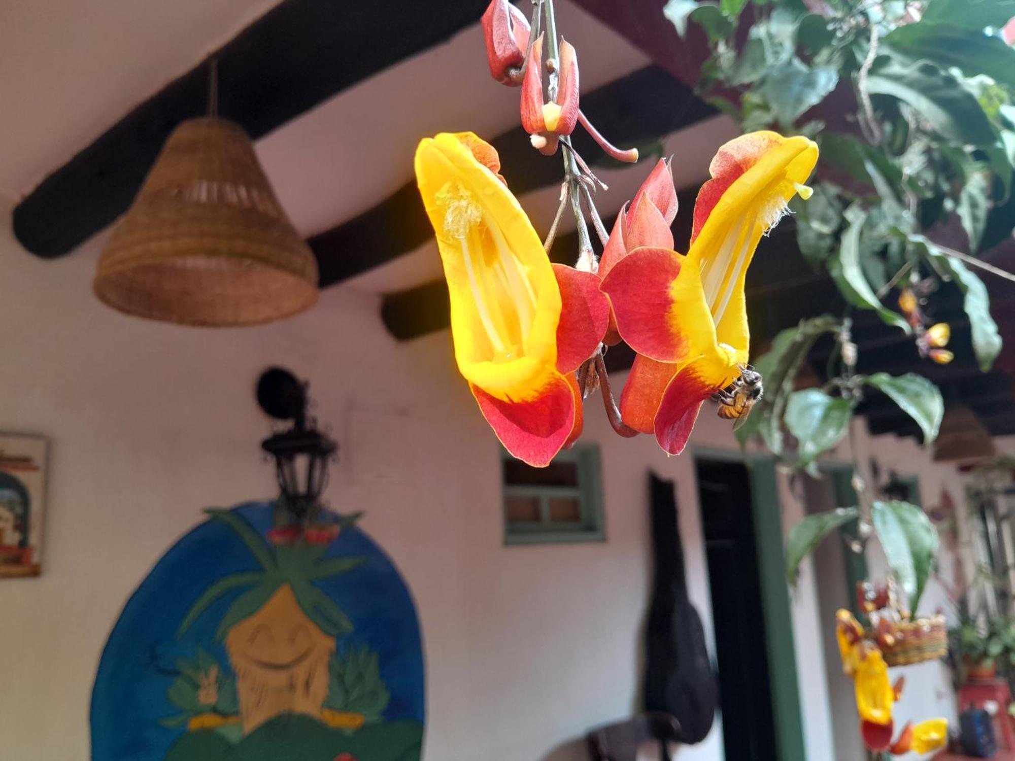 Beija Flor Hostel Villa de Leyva Esterno foto